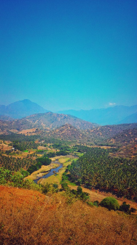landscape