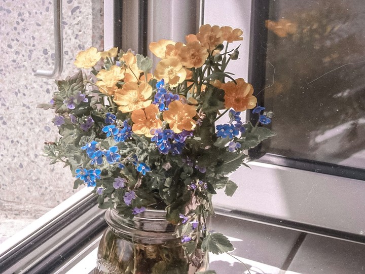flowers