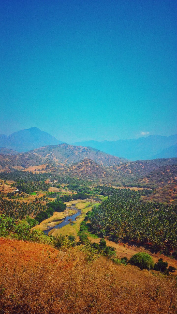landscape