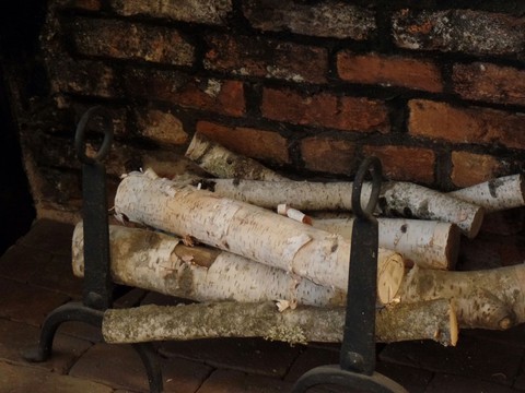 logs on the fire