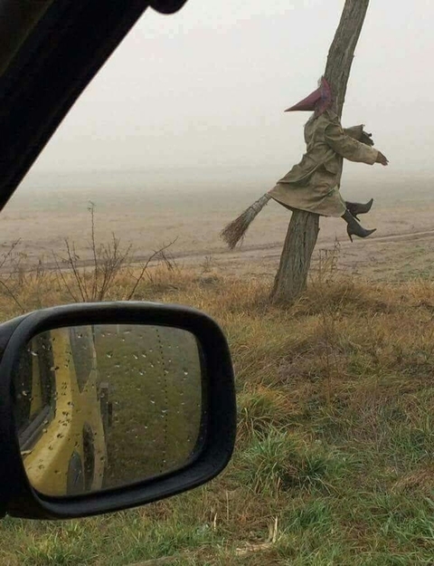 XD