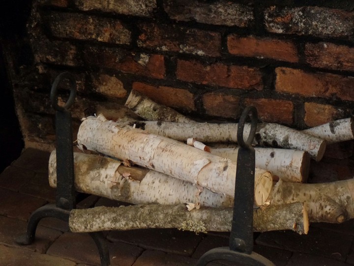 logs on the fire