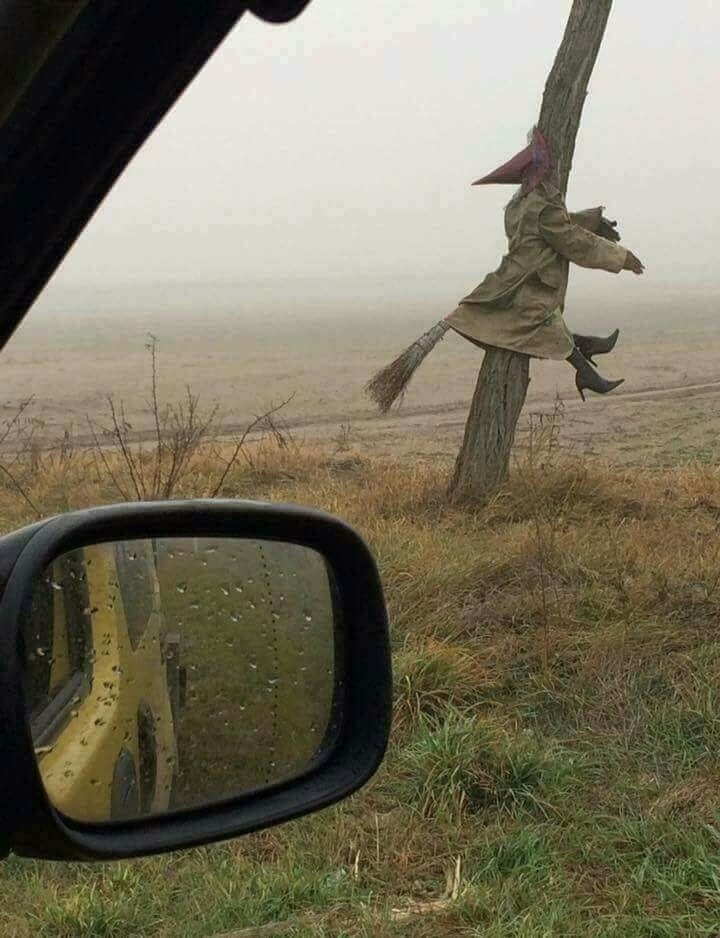 XD