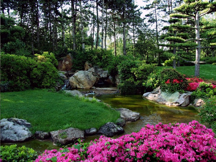 Jardín