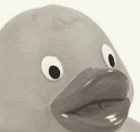 creepy duck that stares