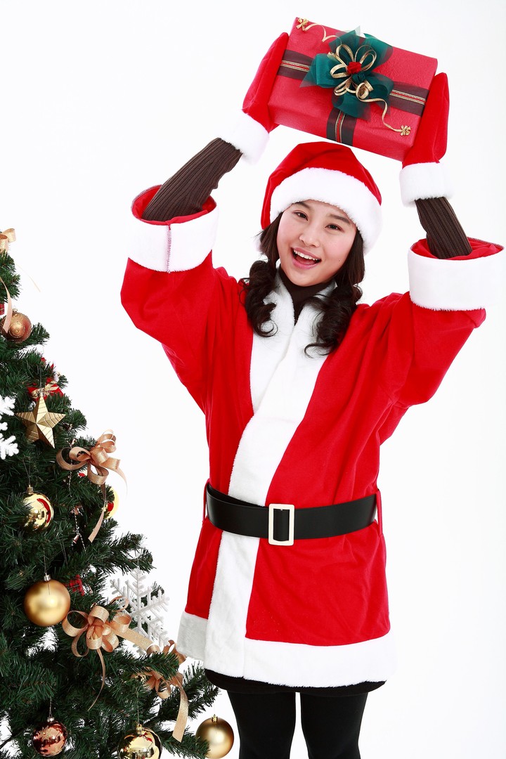 Christmas Costume