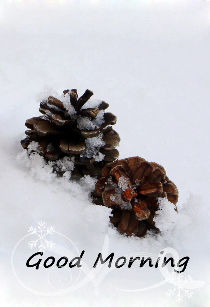 Good Morning?