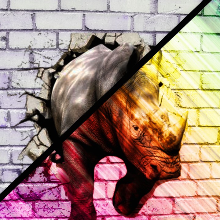 wall