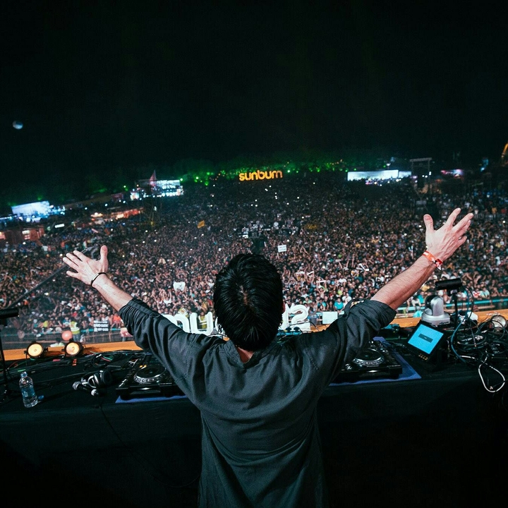 sunburn music festival