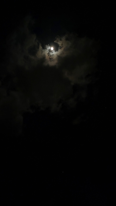Dark night