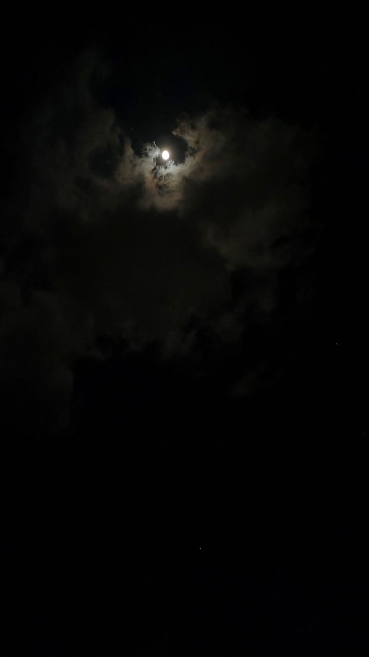 Dark night