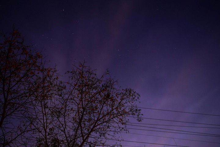 Purple skies