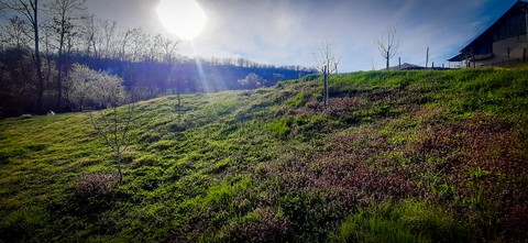 horizon, meadow壁紙