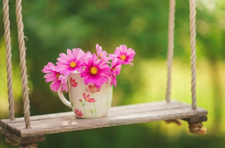 flowers in cup