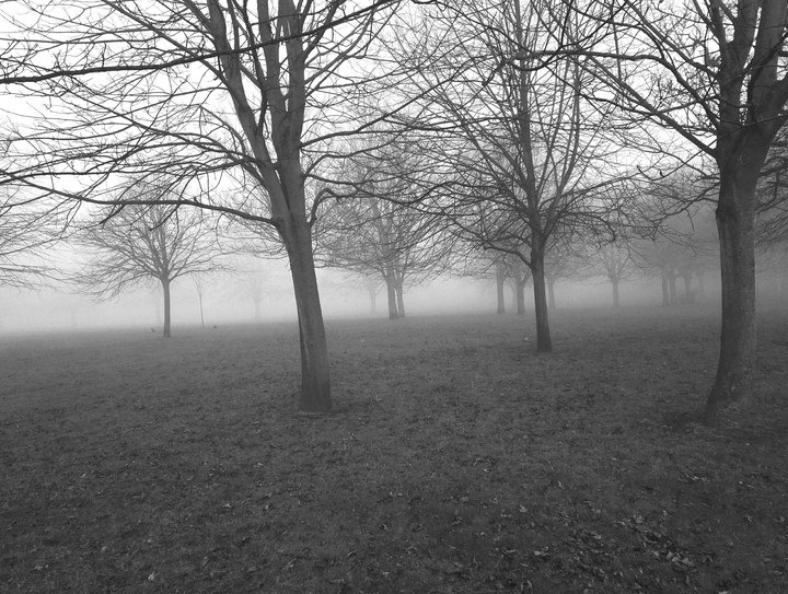 mist