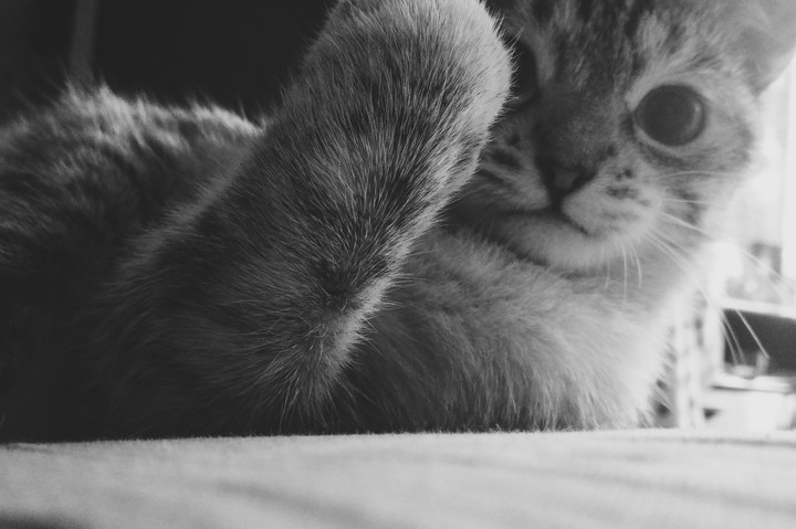 my love