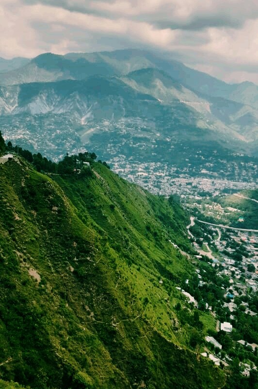 nature