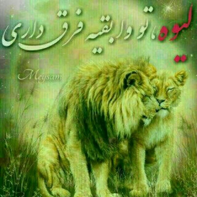 دیوانه