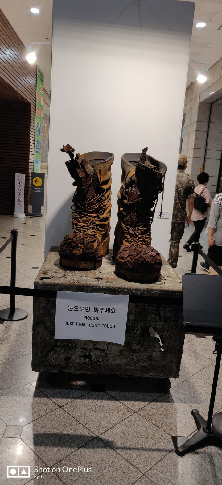 Iron shoe