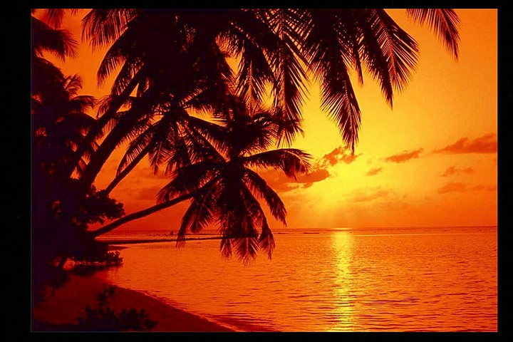 sunset 