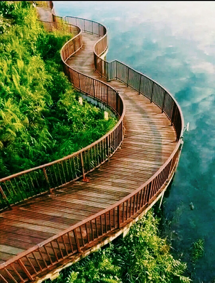 beautiful way..