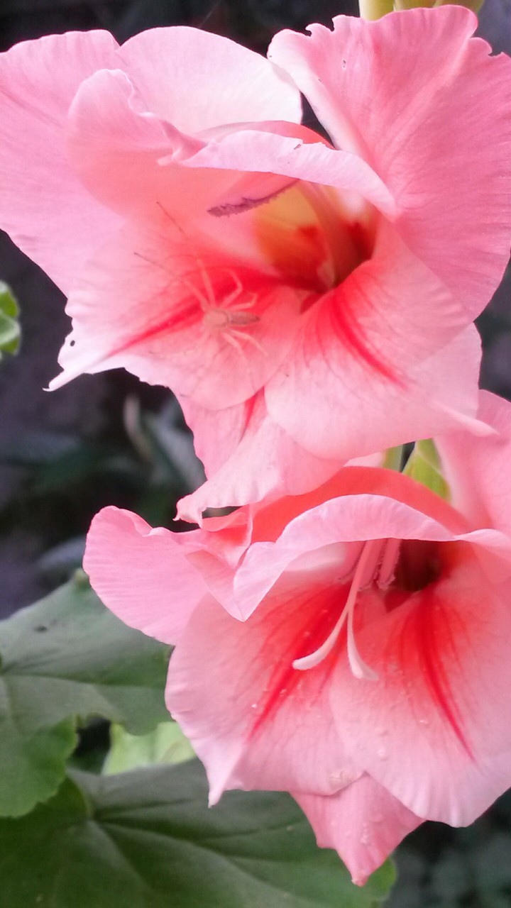 Nature