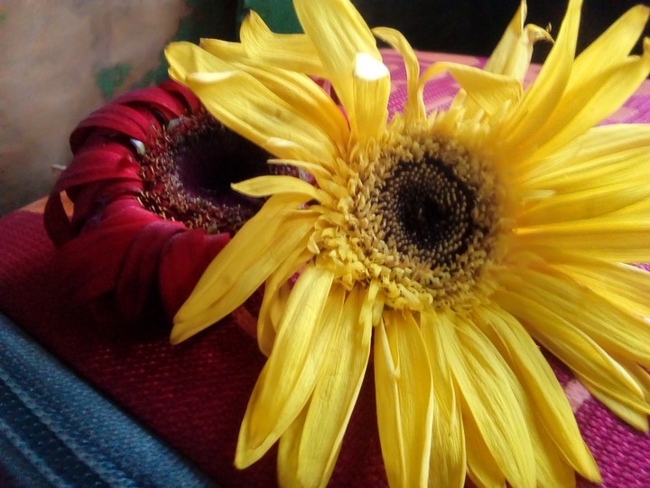 flowers
