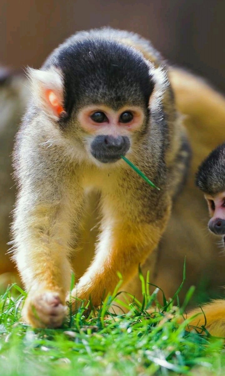 Mom and baby