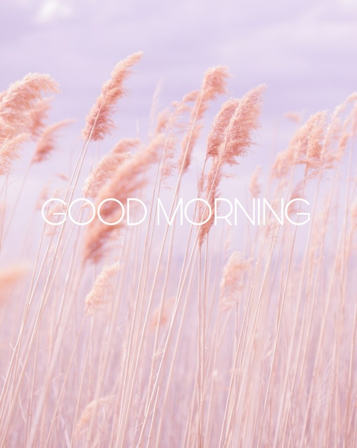 good morning