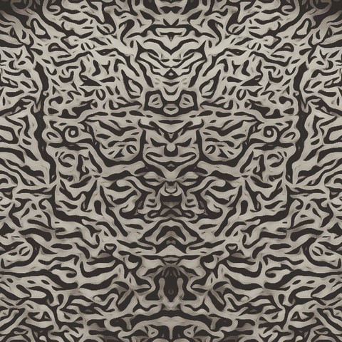 The Face Illusion Black