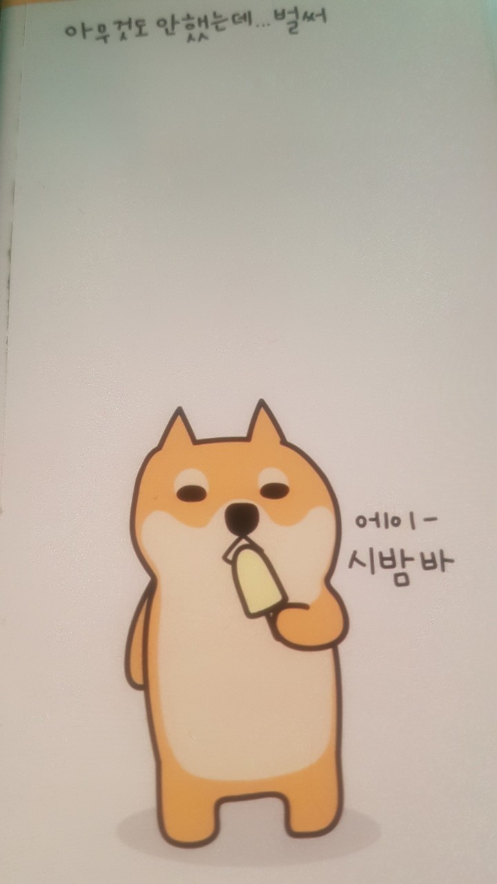 시바견