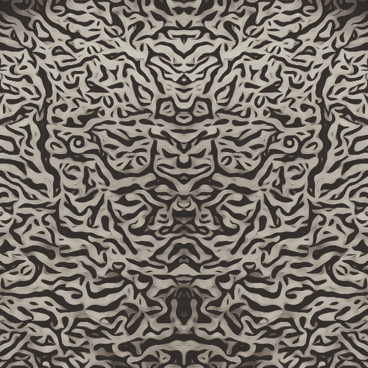 The Face Illusion Black