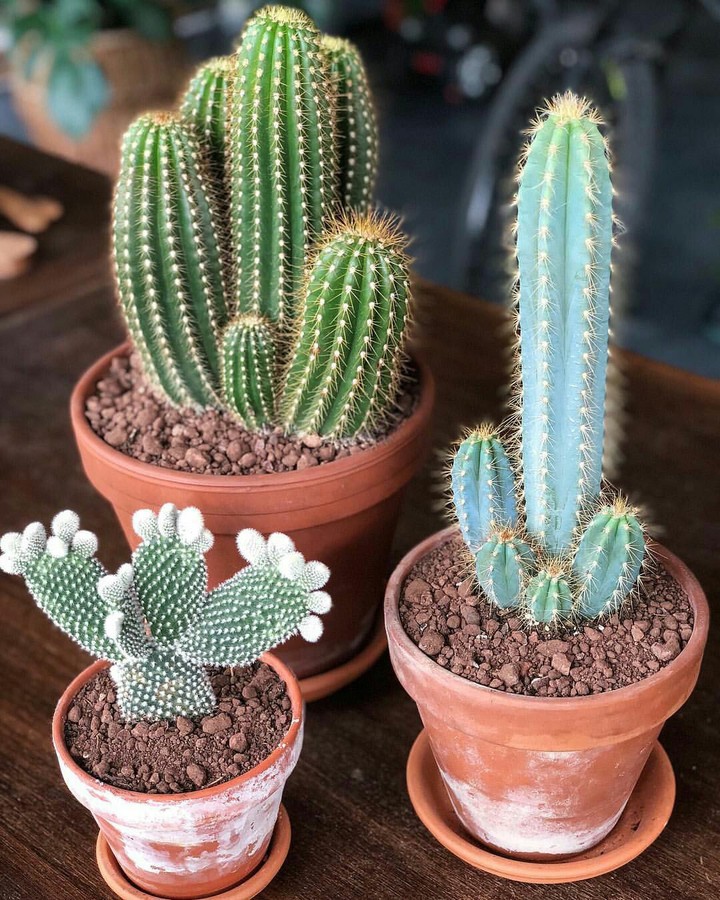 ??