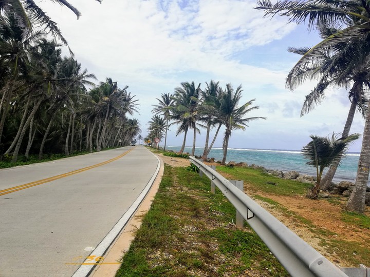 Carretera de palmeras