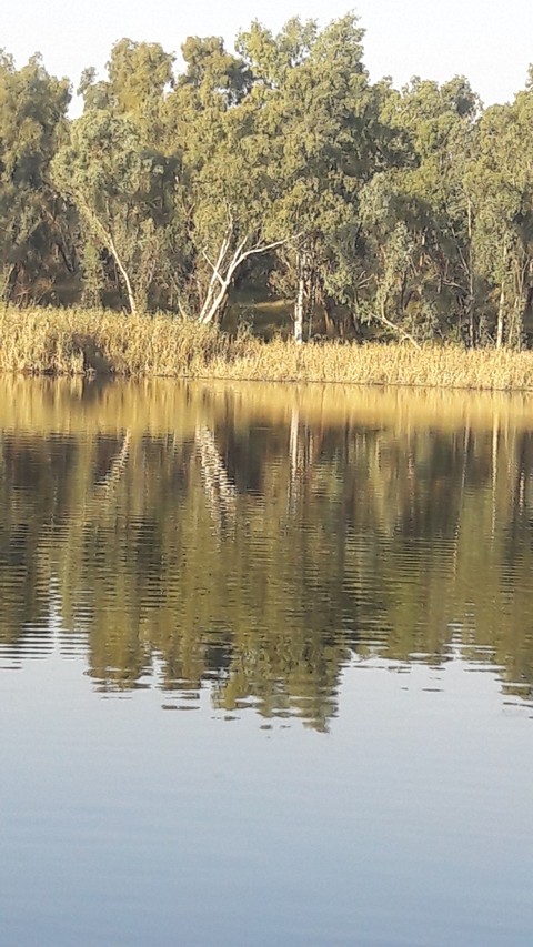 Tranquility