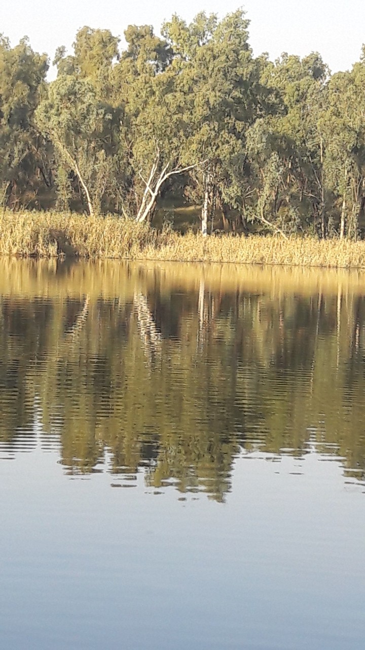 Tranquility