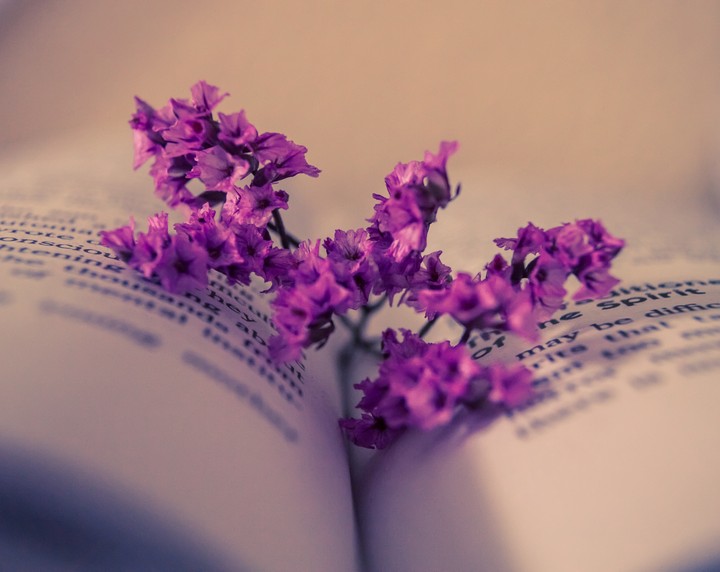 Book Of Love