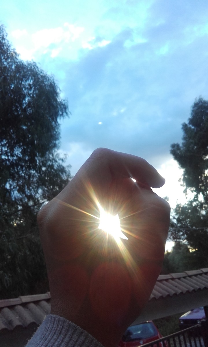 sole