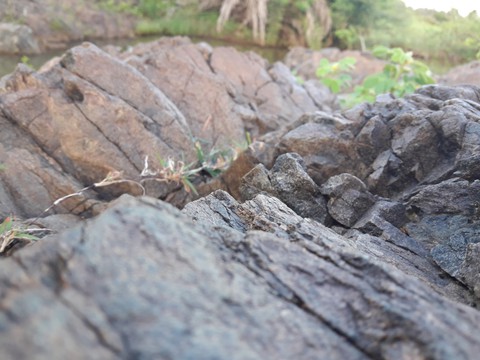 Rock
