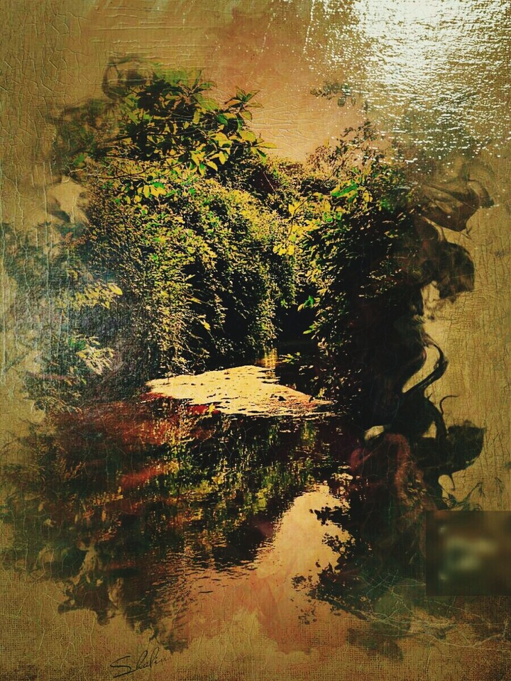 forest...