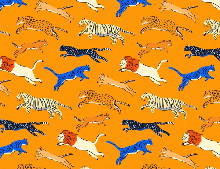 Patterns 2017