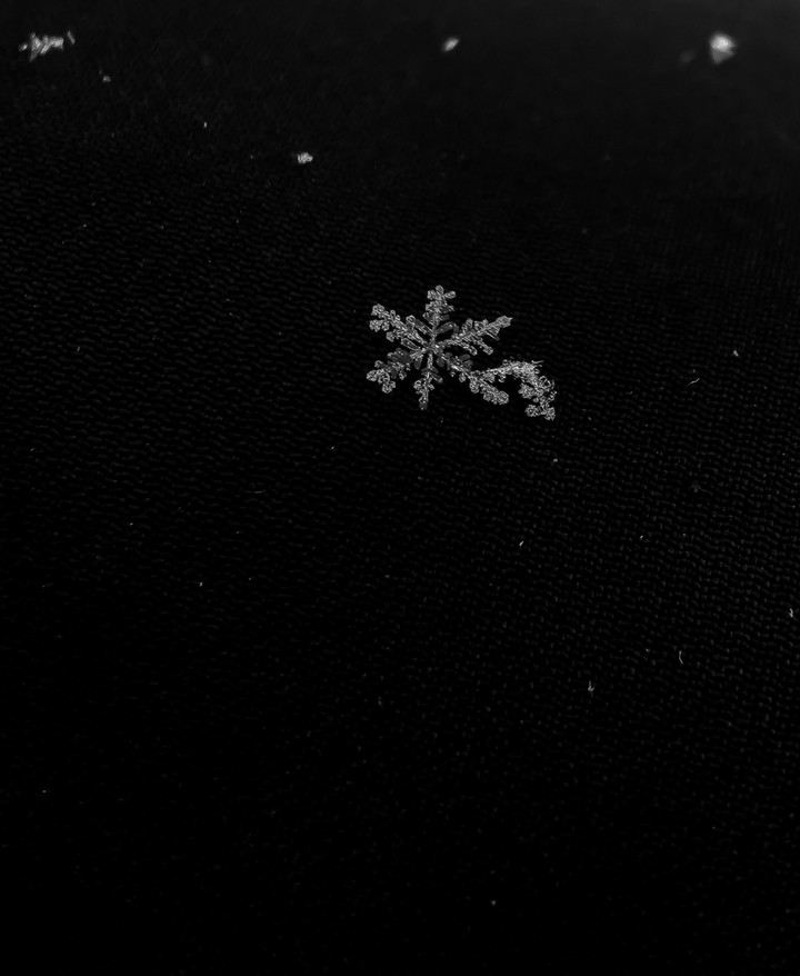 snowflakes
