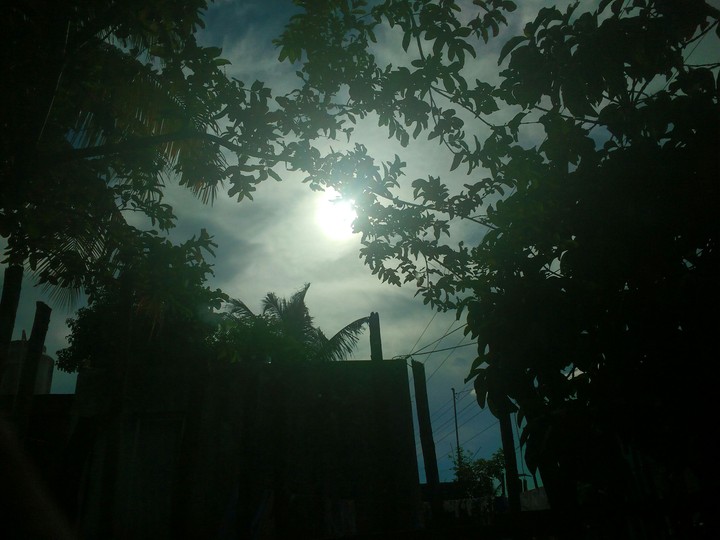 GREEN SUN.