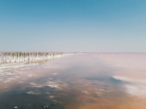 pink lake