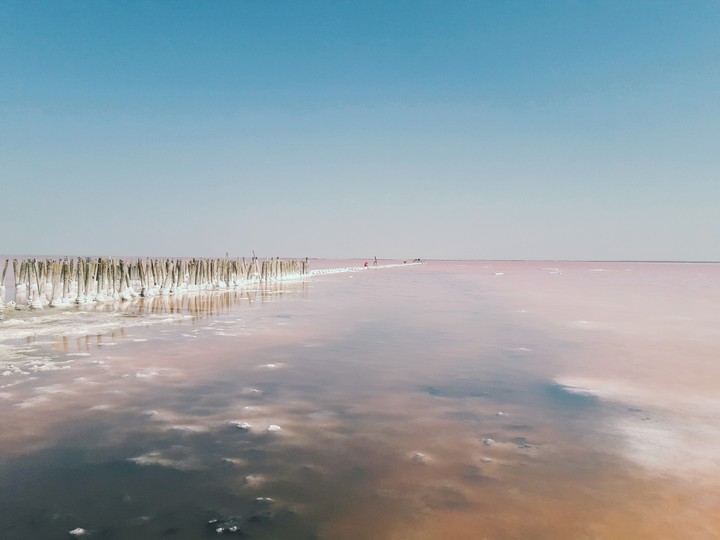 pink lake