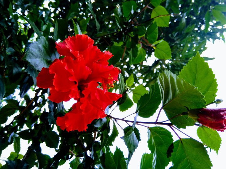 beauty.....