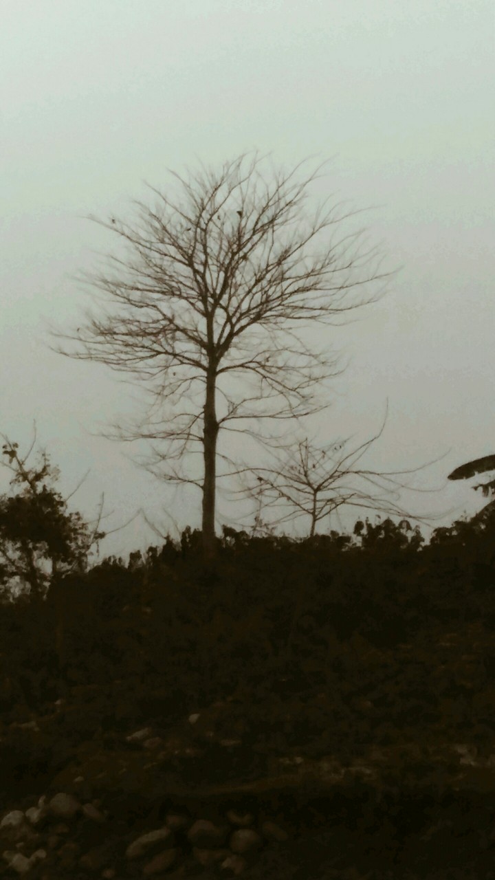 winter