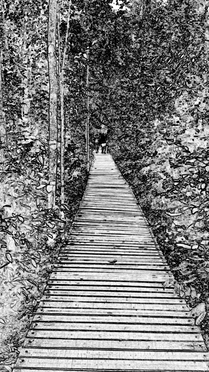 The path