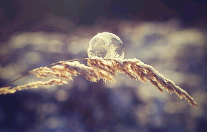 Frozen Bubble
