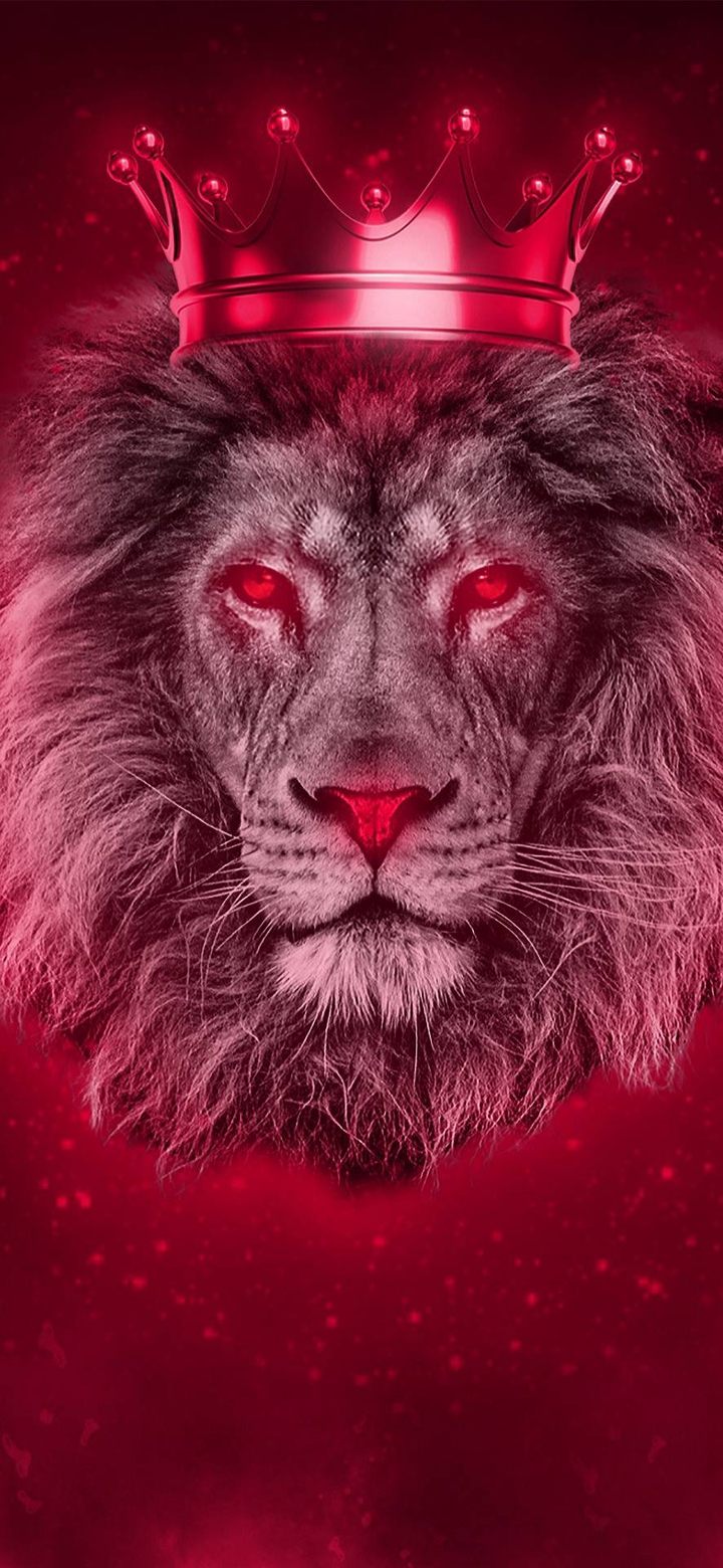 king